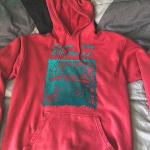 Cage The Elephant Hoodie